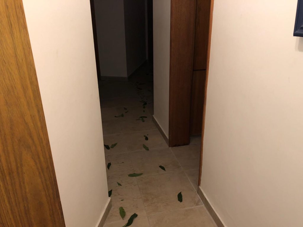 chachimorales10's tweet photo. Mis viejos se fueron a una cena por san Valentín y todo como me quede en mi casa porque no me quiere nadie les prepare la noche❤️ les toco un hijo Virgen pero piola https://t.co/QK33tpsCI6