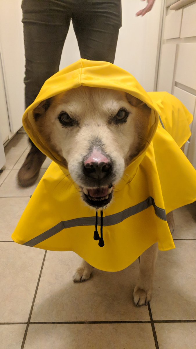 BensonWillems's tweet photo. wE aLL fLoAt dOwN hErE 🎈 https://t.co/i0Id3iAzM5