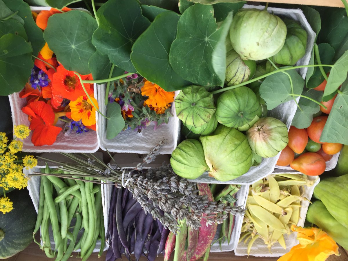 TheWonkyParsnip's tweet image. Follow us on insta @TheWonkyParsnip for updates on what we are doing !
Lots to be announced 😁#kentchef #kentfood #foodies #farmtofork #kentrestaurant #vegbox #farmtour #vegclub