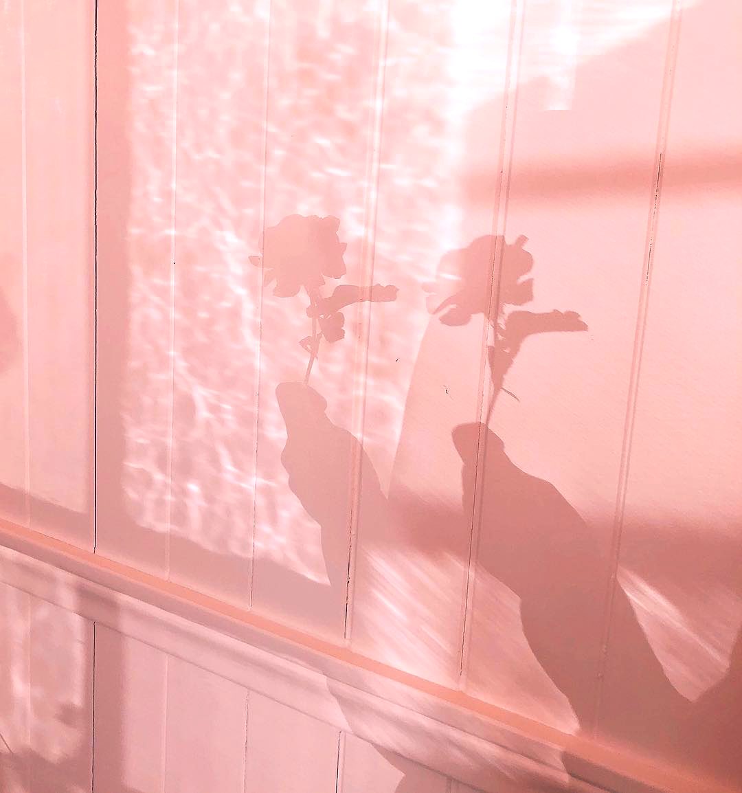 hesaesthetic's tweet photo. https://t.co/ypqxANJG8X