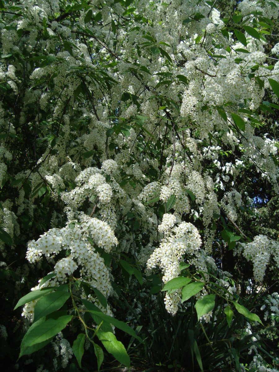 Im #Traum und in der #Liebe gibt es keine #Unmöglichkeiten (Janós Arany).
historischebaustoffe-leipzig.de/portfolio-post… #träumen #lieben #Schönes #Tagträume