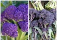 Chefs at School tweet media