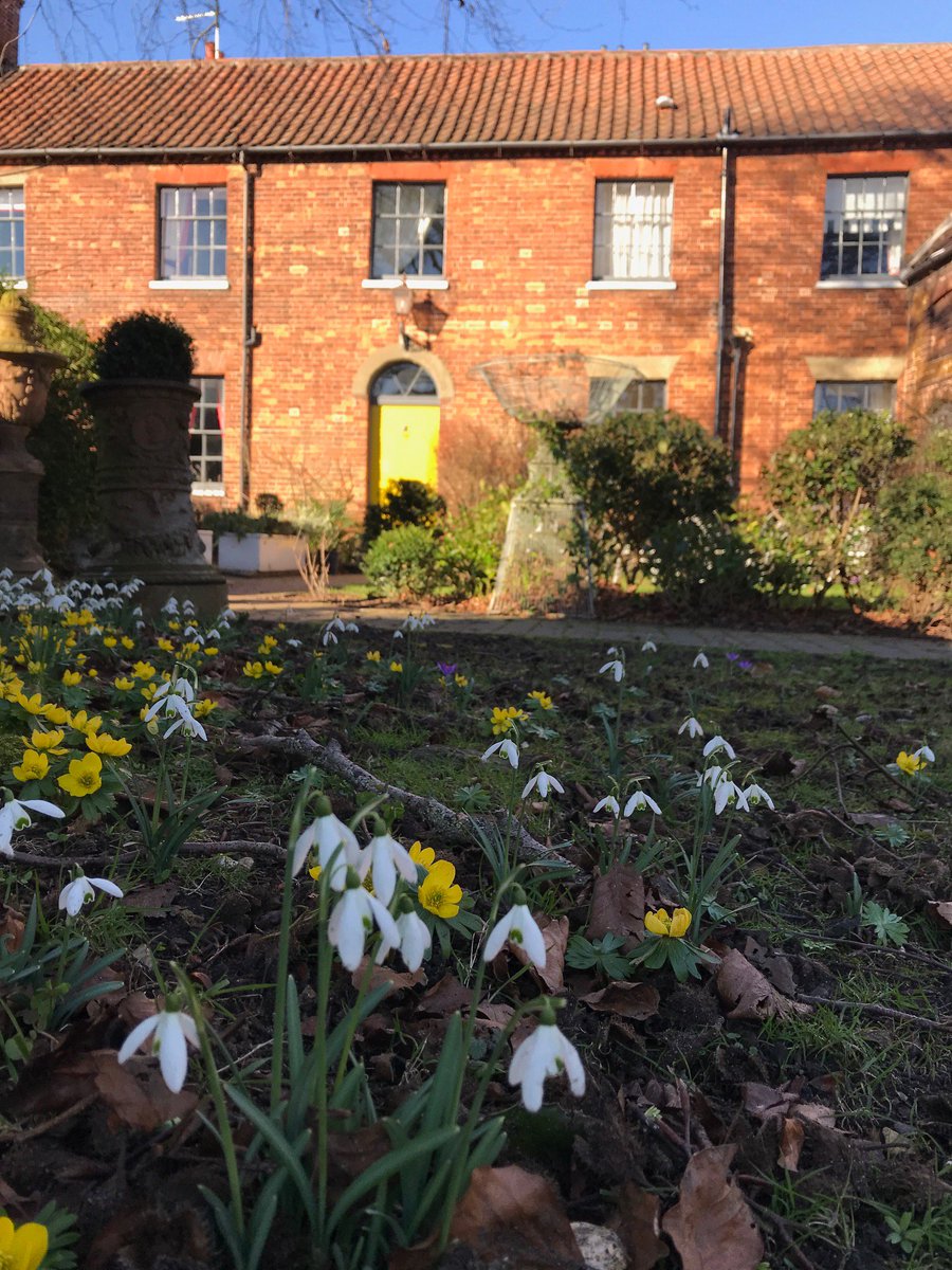 An English country garden on a sunny February morning....