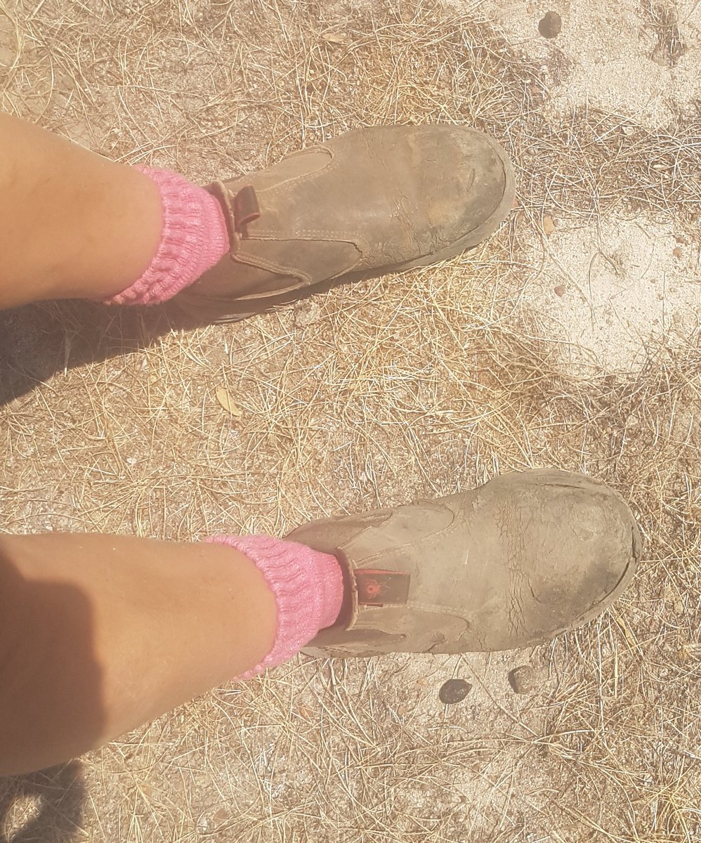 Bindi Murray tweet media