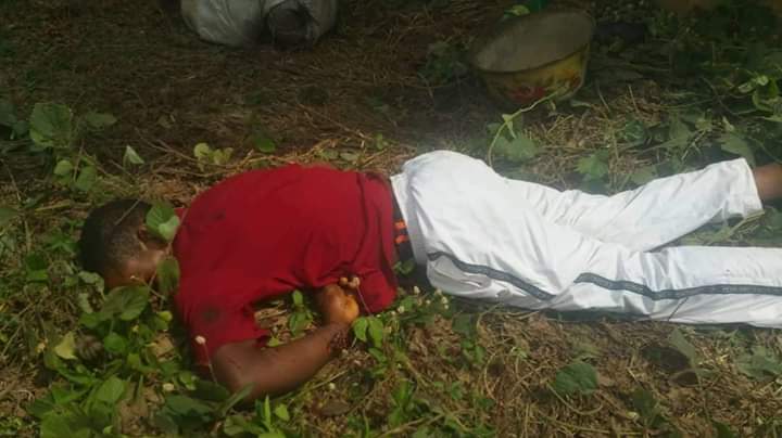 ayah4justice's tweet photo. Genocide! 
Every male child in the English Speaking Regions of Cameroon is targeted. Not even the churches, schools, hospitals, etc, are spared. The very inhumane character of the violence here is historic as the silent complicity of the world speaks volumes. https://t.co/5lZt68anQd
