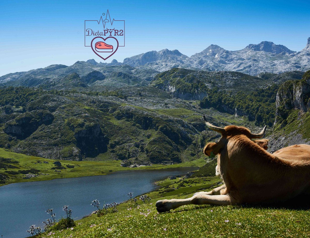 InterregPOCTEFA's tweet photo. Participez à la journée dédiée à la viande des races des Pyrénées à Huesca le 6 mars avec le projet #POCTEFA #DietaPYR2.
https://t.co/p4QhQFBJUS https://t.co/FHCtSyrR7F