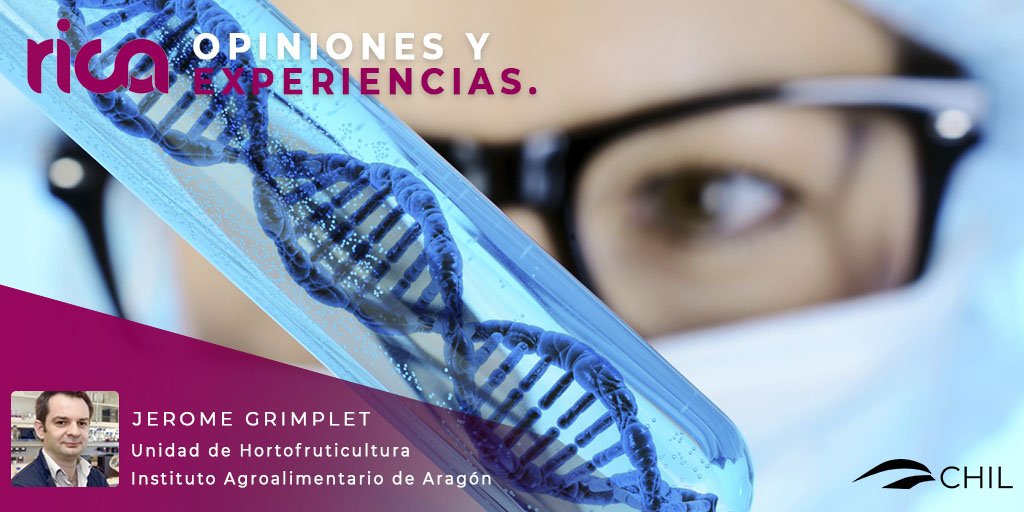 Hoy te proponemos el interesante post de Jerome Grimplet en #OpinionesyExperiencias, el blog de <a href="/RICAgroalimenta/">RICAgroalimentacion</a> Aquí, en CHIL: bit.ly/2GKAZWw