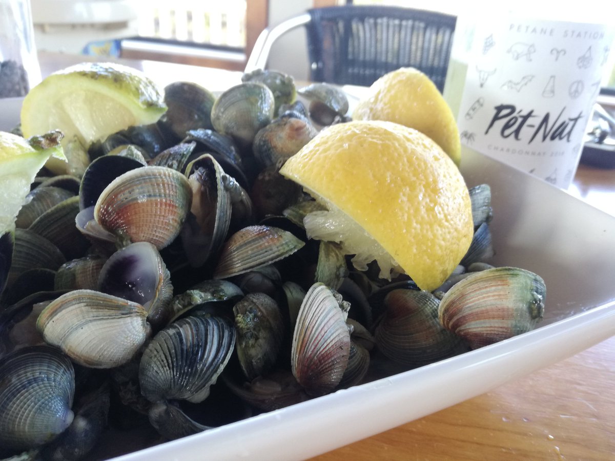 Pet Nat and Northland #kaimoana