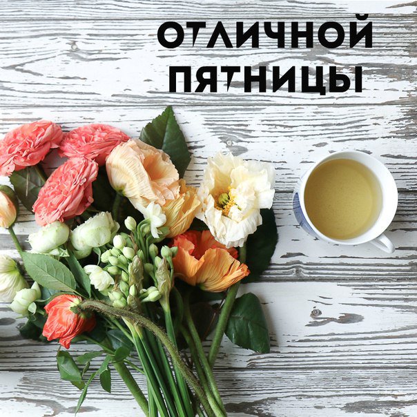 Картинки веселые, картинки легкой пятницы и хороших выходных