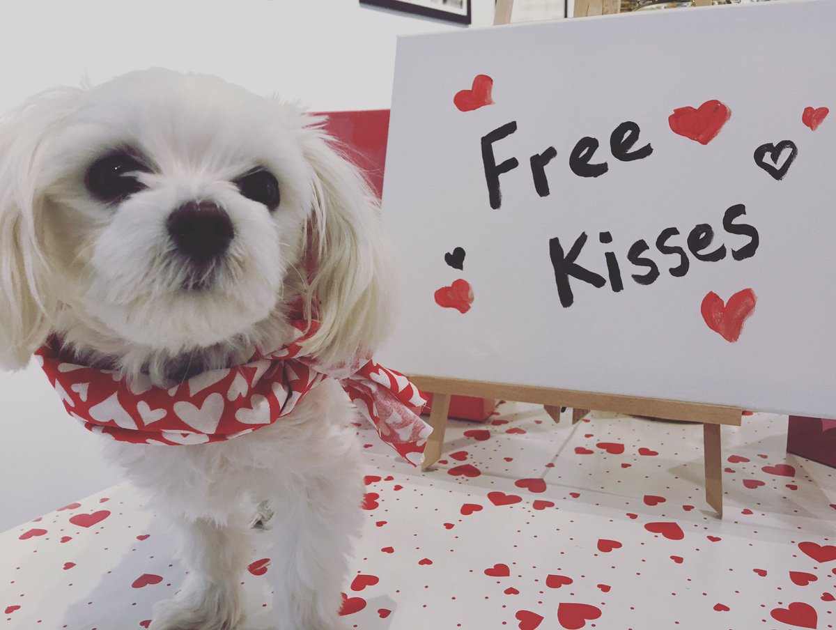 ArtFosler's tweet photo. Happy Valentine’s Day ❤️❤️❤️
#fosler #foslerartgallery #supportlocalbusiness #freeportil #chicago #art #myart #art #abstractart  #contemporaryart #artlife #practice #myvalentines #experimentalart #artoftheday  
#love #instagood #photooftheday #fashion #beautiful #happy #like https://t.co/6pO4qgJUoD