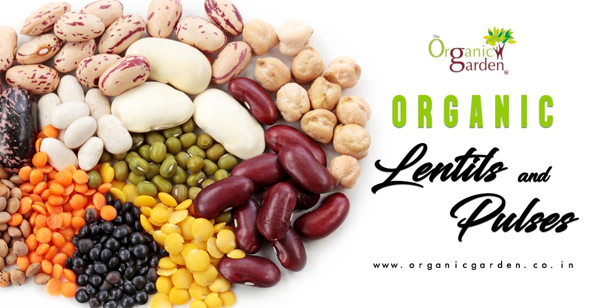 StayOrganic's tweet photo. Include organic Lentils and Pulses in your diet

Order pesticide-free lentils and pulses and get home delivery at anywhere in India.

➡️ Register https://t.co/gS4ypWgav2 and get 10% Off on first order. Use Code: NEW10

Order Online: https://t.co/h3uVZyoTOe https://t.co/eZDLMw264F