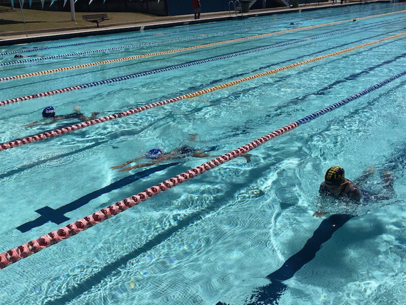 GardenersRoad's tweet photo. What an incredible time we had at the Swimming Carnival today! Thank you to all our staff and volunteers who helped organise and make today so much fun!! 👍🏼👍🏼👍🏼 https://t.co/TwKu3kmrk2