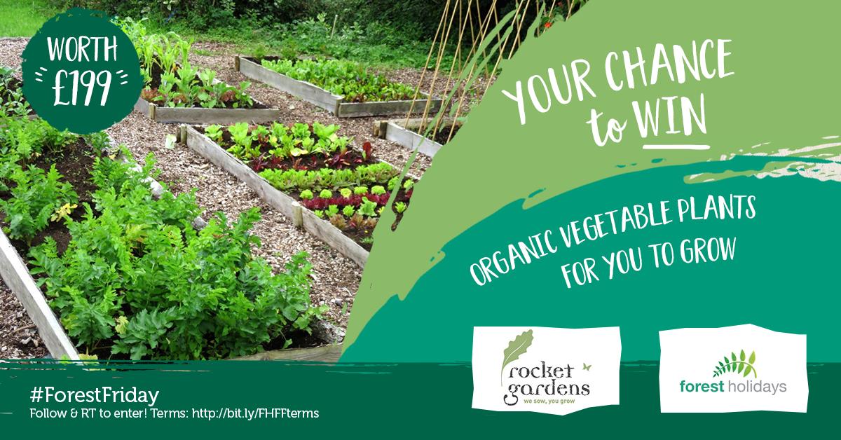 Forest Holidays (@forestholidays) on Twitter photo We have just the thing for all you budding #gardeners out there this #ForestFriday! #Follow and #retweet this post for your chance to #win #organic #vegetable #plants for you to grow from <a href="/rocketgardens/">rocketgardens</a>! Closes 18/02/19. Terms: bit.ly/FHFFterms We have just the thing for all you budding #gardeners out there this #ForestFriday! #Follow and #retweet this post for your chance to #win #organic #vegetable #plants for you to grow from <a href="/rocketgardens/">rocketgardens</a>! Closes 18/02/19. Terms: bit.ly/FHFFterms