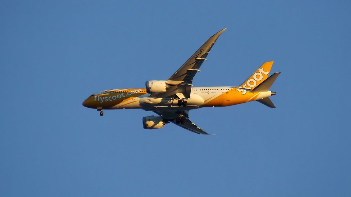 A3803's tweet photo. Der #Dreamliner von #Scoot heute mal im schönsten Morgenlicht. #TR734 #SINTXL #B787 #9VOFI https://t.co/Le8dFJtN2j