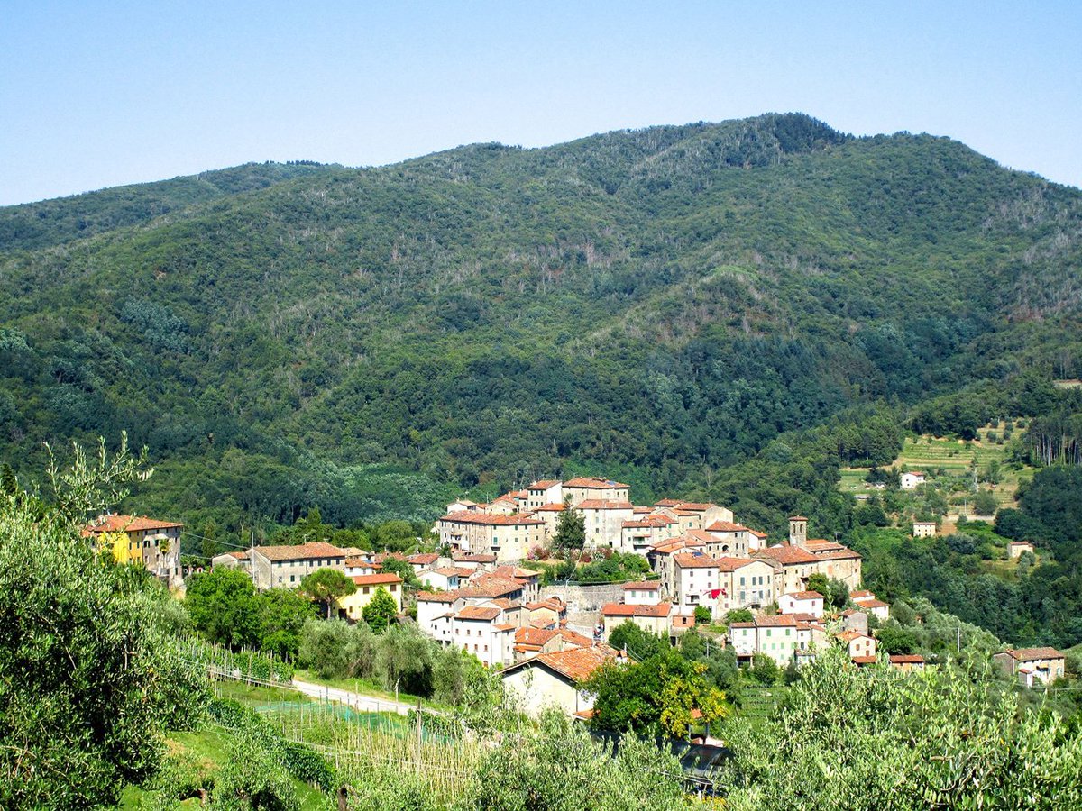 ItalyMBD's tweet image. #Castelvecchio #Tuscany just so beautiful, wonderful in between woods and vineyards. #travelinspires #Travel