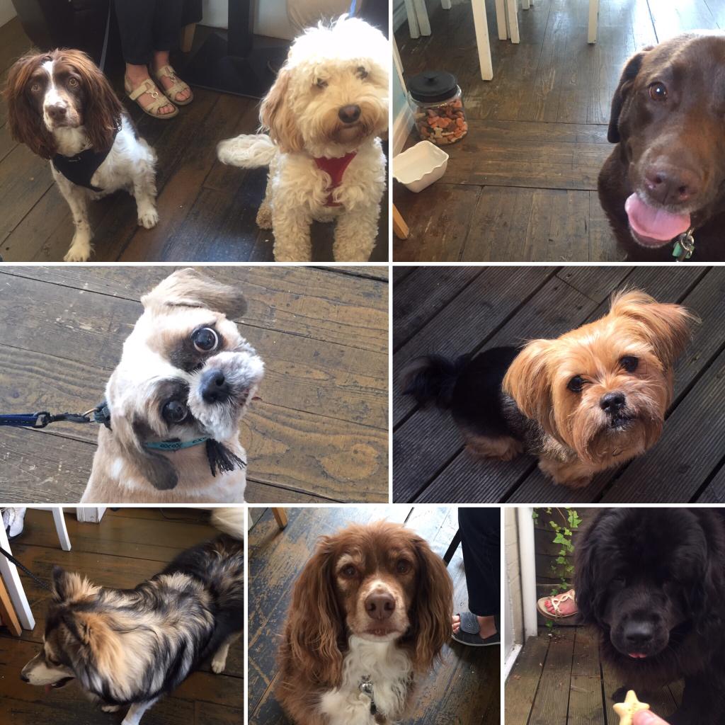 chaserice808416's tweet image. Morning #StratforduponAvon on this nice crisp morning. Come and have breakfast, coffee or a lunch. #doglovers #breakfastofchampions #Shakespeare #freelance