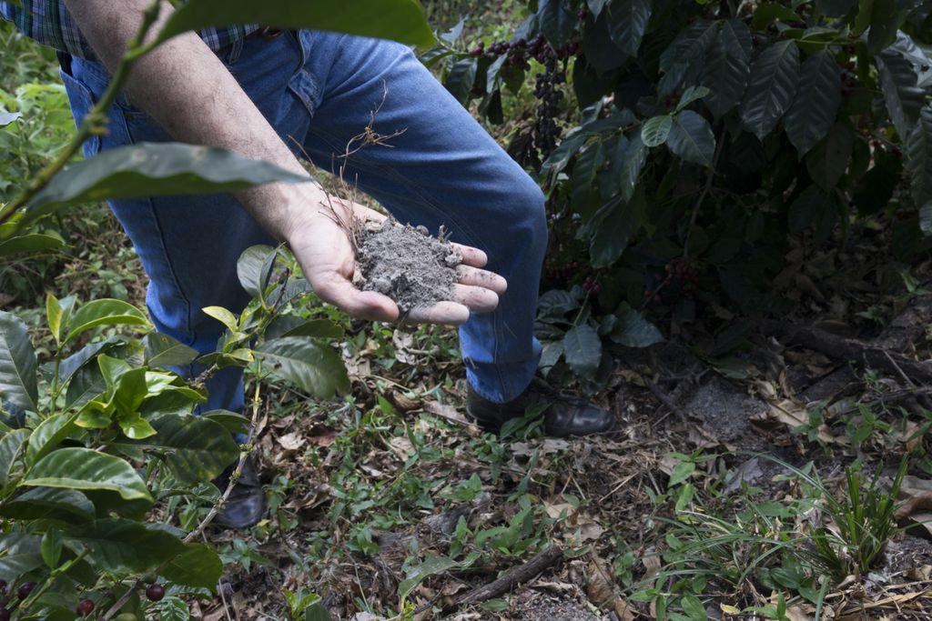 Finca El Corozo was decimated by a volcanic eruption in 2005, now the ash helps fertilise the soil creating the great product we have today! #DirectTrade