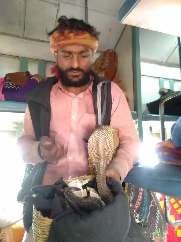 SunilDattShar10's tweet photo. Magical journey in #JAT_SBP_EXP train(no.18301) @PiyushGoyal 
Picture from Rura railway station. https://t.co/hbzg1w3AGm