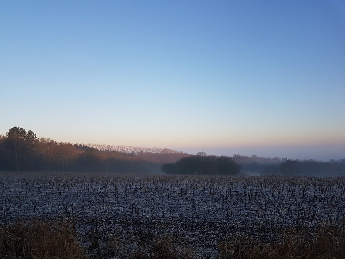 Tn9Greyhound's tweet photo. Morning all, been a while since I shared some stunning #Kent views with you. #houndsoftwitter #LoveWhereYouLive https://t.co/b5huP3h3LJ