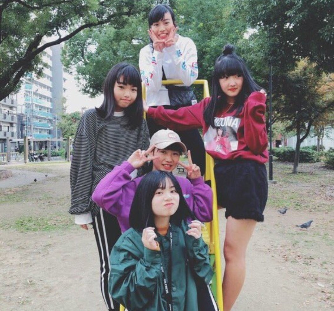 ハブドリームズ Twitter Search Twitter