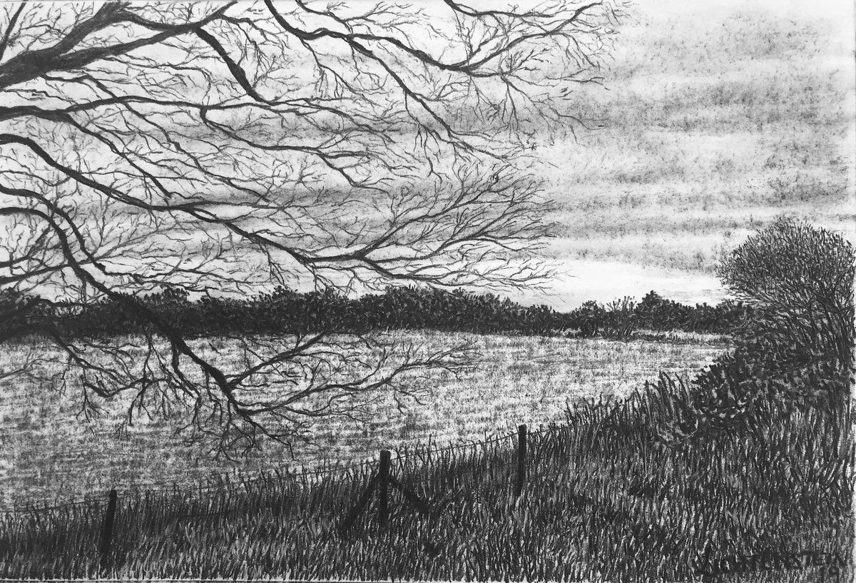 A new one of my landscapes for the collection