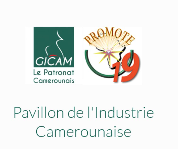 Salon Promote tweet media