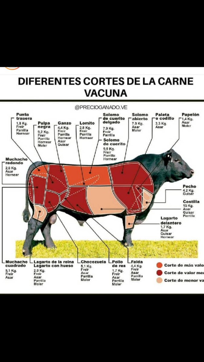 Invelecar On Twitter Diferentes Cortes De Carne De Bovino