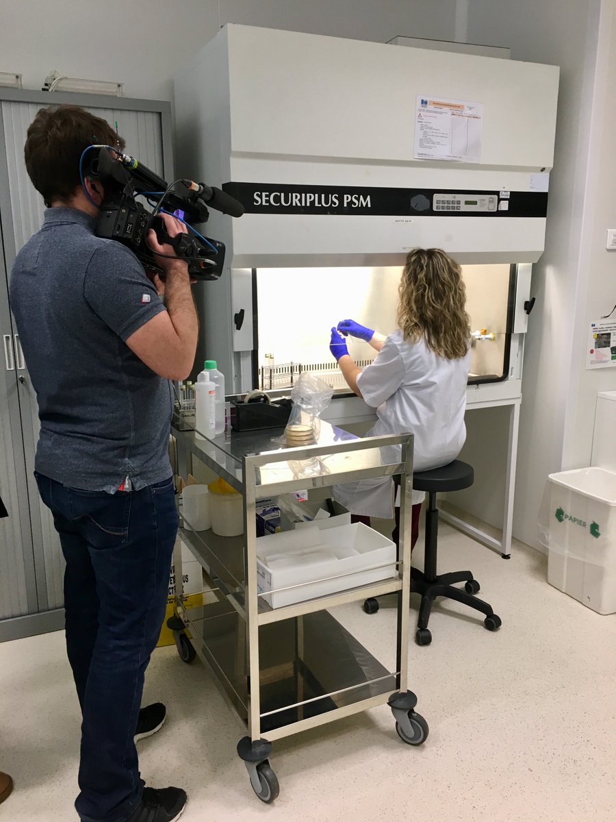 fc_univ's tweet photo. Qu'est-ce qu'une moisissure ? Pourquoi s'attaquent-elles à nos logements ? Steffi Rocchi chercheuse au laboratoire @Chrono_env de l'Université de Franche-Comté et au #CHRUBesançon nous explique tout dimanche soir à 20h25 dans E=M6 https://t.co/kdQ7YGodm3