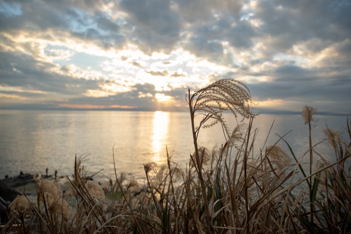 らうる tweet media