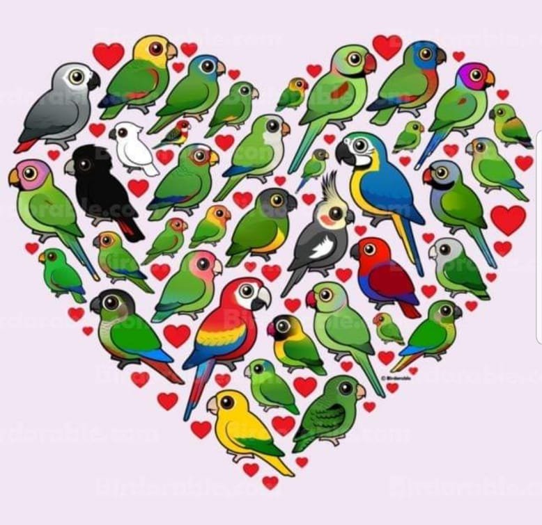 Devora13921232's tweet photo. Y hoy que es un día normal y corriente! Te recuerdo lo mucho que me importas y te quiero ❤️😘 https://t.co/63akDnLezN