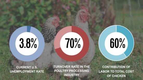 KarlDeily's tweet photo. A new wave of #automation technologies is bringing the poultry processing industry into the future. https://t.co/Rx5WrLVXCb https://t.co/QT12jV7JEk