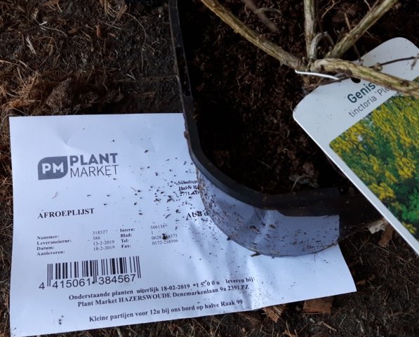 Plant Market biedt kweker de keuze. Tijdig op Hub Oost of op ITC. #bespaartritjeoverdebrug