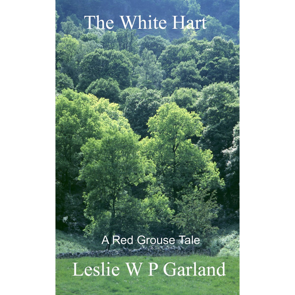 4 intriguing adult, speculative, spiritual &amp; philosophical novellas with a dash of the supernatural for the price of 3! ($/£0.99 each or $/£2.99 for all 4 in one vol)
The Red Grouse Tales fm amazon.com/s/ref=nb_sb_ss…
FREE! on Kindle Unlimited
Goodreads goodreads.com/author/show/14…
Enjoy