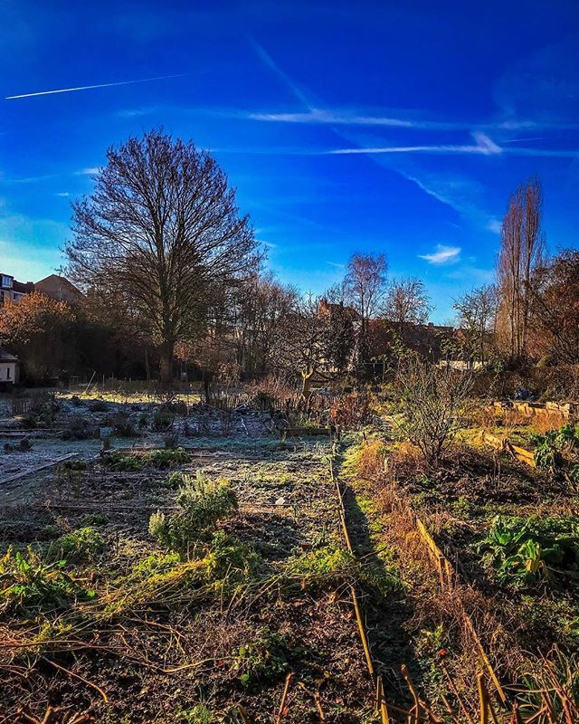 Dirkdb's tweet photo. City life on sunny mornings. .
.
.
.
.
.
#igbrussels #welovebrussels #ilovebrussels #cityscape #brussel #brussels #bruxelles #uccle #ukkel #sprouttobebrussels #visitbrussels #bruxellesmabelle #bruxellestagram #publicgarden #parklife #mycity #igbelgium #i… https://t.co/6ZGdrJKfvY https://t.co/cXHuaTvV6L