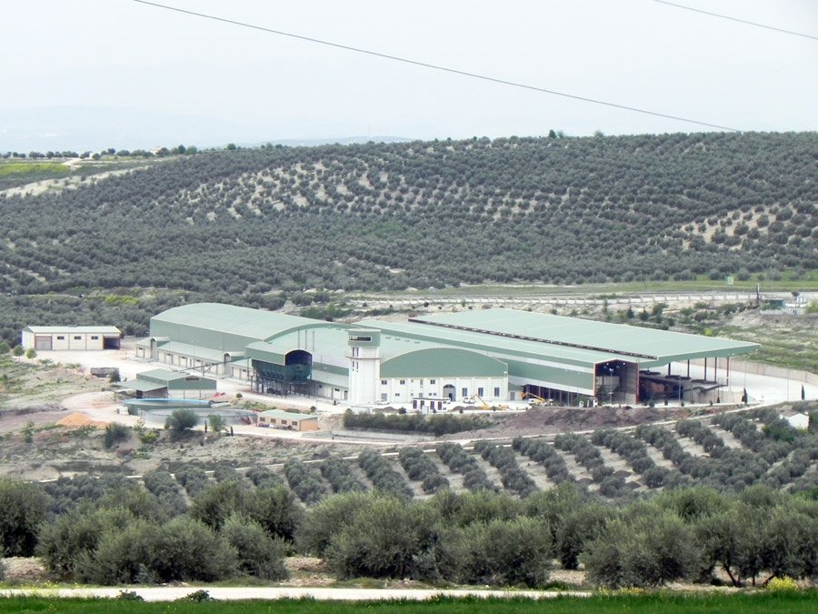 asajajaen photo