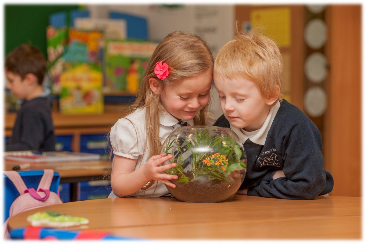 EdScotSciences's tweet photo. To mark publication of the first annual report of #StemStrategyScotland https://t.co/GEXm3eFxKf here are two further case studies to inspire your STEM journey
Science across the school: early level https://t.co/Do9blVU1OD
Science in the salon - https://t.co/0NMHw5770G https://t.co/uYxwPkYH0F