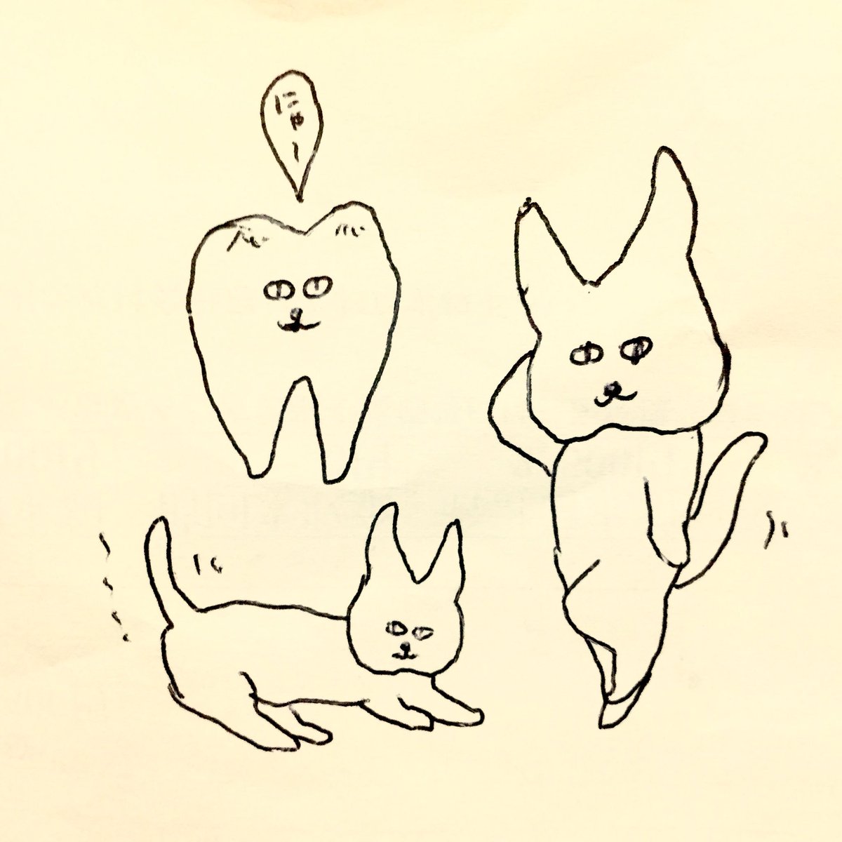 yuriisneko's tweet image. 親不知を抜き、お土産にもらった歯を眺め、ねこ化。歯根側を帽子にして歯猫の魔法使い誕生
