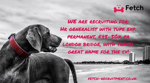Are you a good HR generalist with TUPE/ER experience? We have a client that will look great on the CV that is looking for someone.

It is a permanent role in London Bridge paying up to £48k (maybe a bit more). There will be travel.

For details/ to apply: ow.ly/Sv2J30nI5Sx