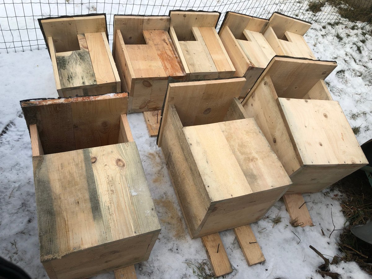 Ja Putnu dienās ir vēlme uzstādīt māju meža pūcei vai urālpūcei - Lūdzu!