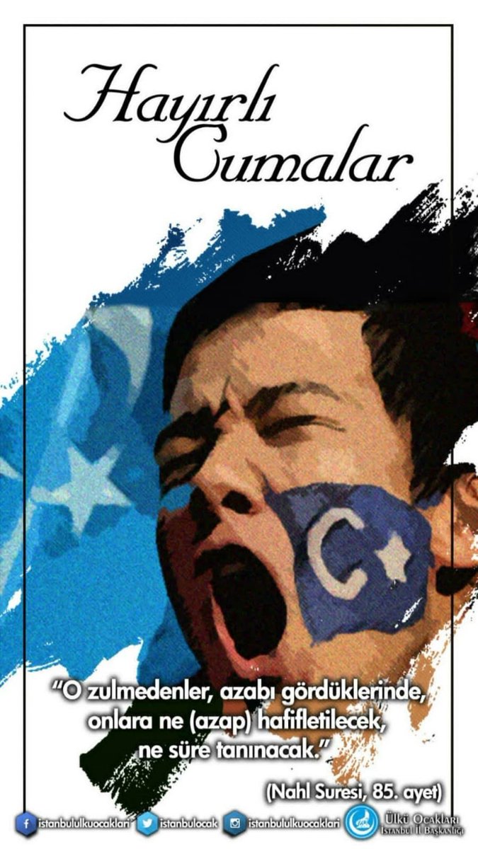 Bilgi Ülkücüleri (@bilgiulkuculeri) on Twitter photo 