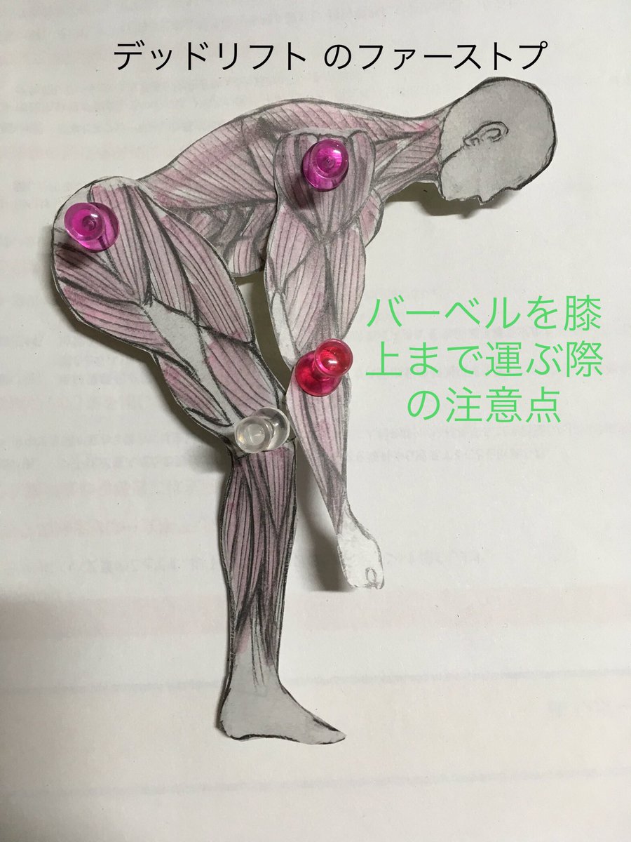 イラストで理解するトレーニングフォーム 仕組みを理解し 効果倍増 イラストで理解するトレーニングフォーム 仕組みを理解し 効果倍増