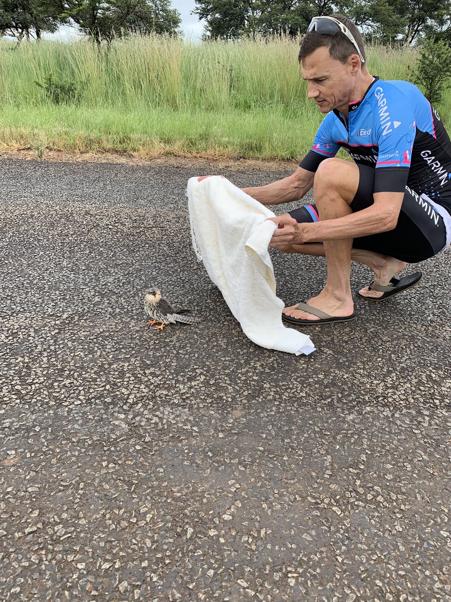 Ben Melt Swanepoel tweet media