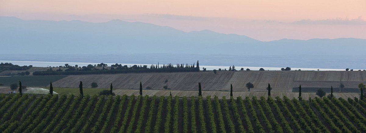 salonikigr's tweet photo. Thessaloniki: 10 Best Wine Travel Destinations of 2019 https://t.co/JDszUPZFrA #thessaloniki #top10 #wine #ravel #destination @WineEnthusiast https://t.co/3Z6AZeawui