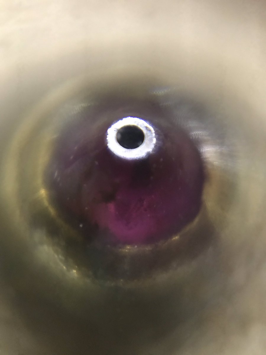 Neotko Sebas 🟡 tweet media