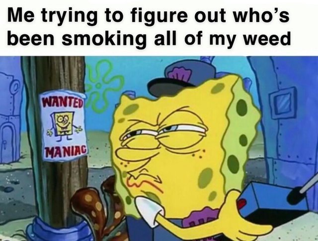the_5th_finger's tweet photo. Who's a sneaky boy? 😂
.
.
.
.
.
#dope #420 #highsociety #maryjane #highlife #710 #hightimes #dank #dabs #stoned #greenlife #gogreen #herbs #natural #LetsBeBlunt #legalizenature #greenfingers #sticky #relaxed #growlikechef #perspective #terpshack #litaf https://t.co/8zFFZTToFe