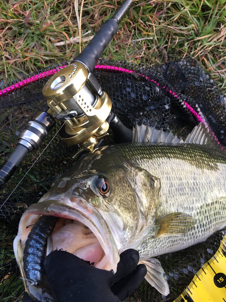 ちょー速 琵琶湖おかっぱり Chosoku Biwako Twitter