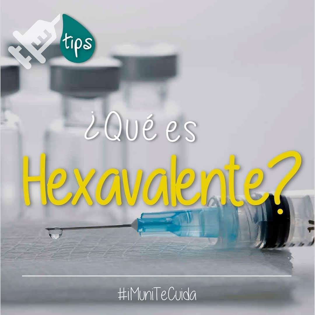 iMuniApp's tweet photo. Esta es la vacuna que protege a tu bebé contra la tos ferina y 5 enfermedades más. Acude desde los 2 meses a vacunar lo. #iMuniTeCuida #gestodeamor #padresresponsables #privilegio https://t.co/LudYgEv2gb