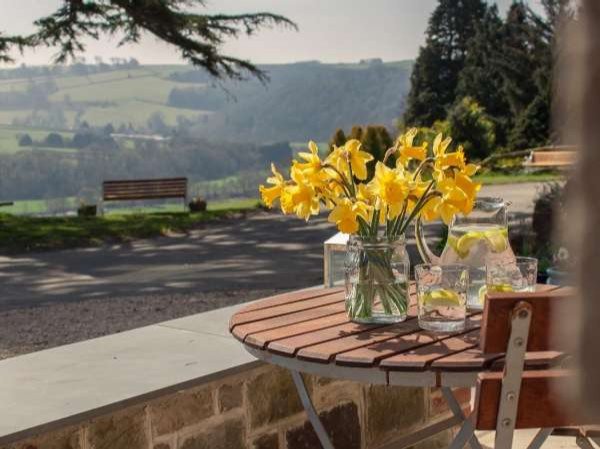 CottagesInDevon's tweet photo. Just look at the view from that hot tub at Little Silver Nugget 😍

See the property online here: https://t.co/irCbmiQ92a
----------
#Devon #Countryside #RomanticGetaway https://t.co/hQgkM4ABWK