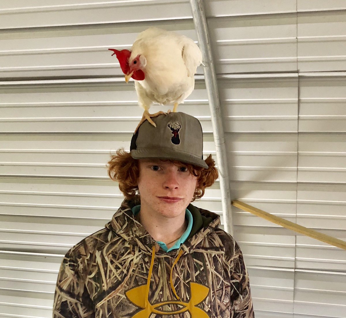 ICTII_Thomas's tweet image. Who said Computer Science wasn’t fun? Just one fun photo from our annual field trip to Mrs. McCurdy’s Ag class!! #cs4ms #cyberfoundationsII #chickenswelcomed #middleschoolisneverdull #ffa #agricultureclass #ffaneedscomputerscientisttoo #LMS #GoDores