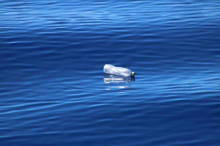 1st_horizon's tweet photo. Acc. to Forbes, an estimated 1 mil people are using plastic bottles every 1 min. With only 9% recycled, it is est. that by 2050 there will be more bottles than fish in the Ocean. One simple change to an eco-friendly, reusable bottle can help to reduce this.  #JNBEnvironmentWeek https://t.co/tc7NQJO3l3